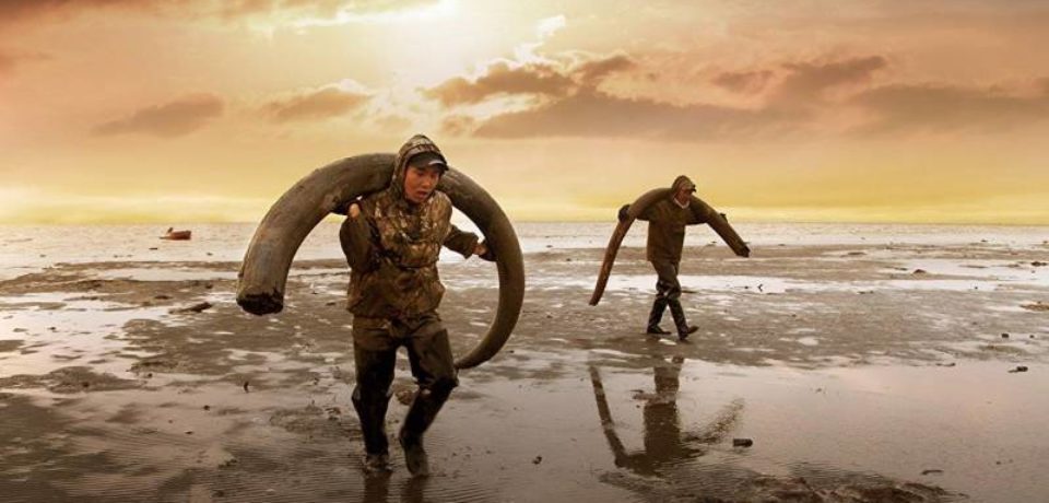 Фильм якутского режиссера о клонировании мамонта и искателях бивней покажут на фестивале Sundance